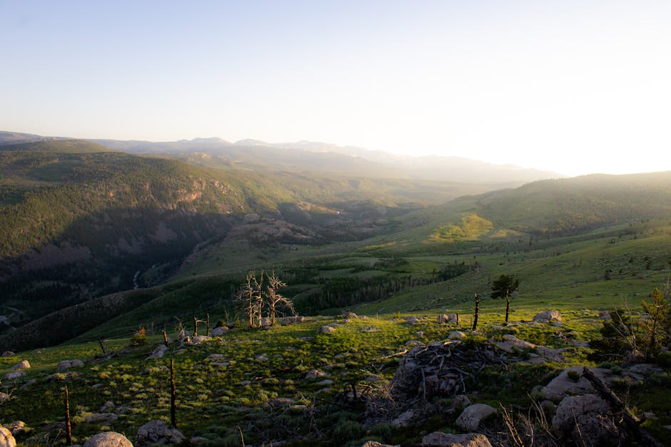 State Regulations Compared: Montana vs Wyoming vs Colorado Tag Systems