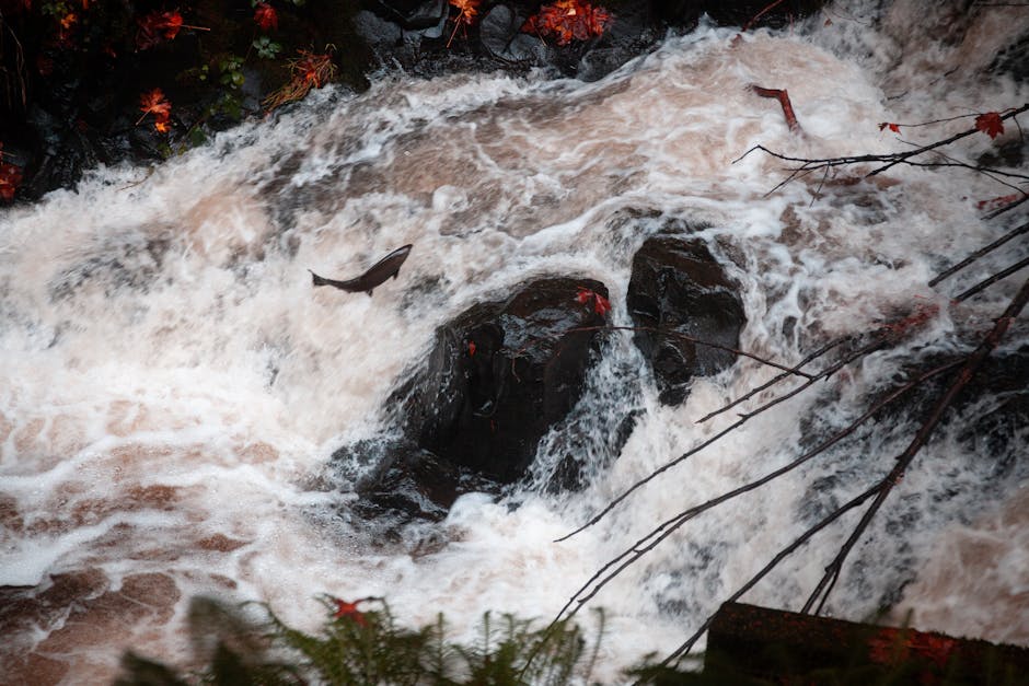 Salmon Fishing the Pacific Northwest: Kings, Cohos, and Rain Gear