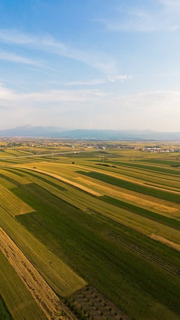 Hunting Lease Economics: What You Pay and What You Get