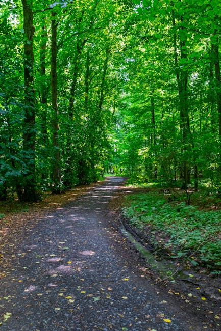 Next Season Prep: What to Do in the Off-Months Before October