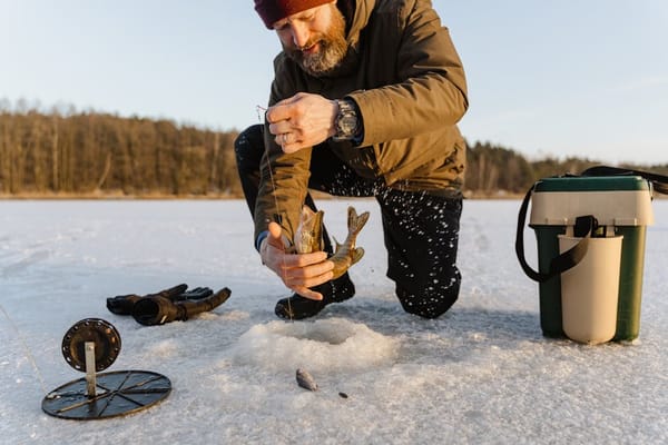 Jigging Saugers and Walleye Through Winter Lake Ice