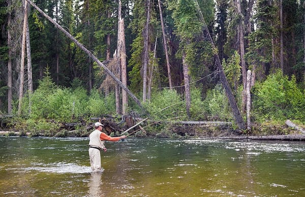 Spring Smallmouth Bass on the Fly: River Selection, Pattern Choice and the Reading-Water Skill That Separates Casual from Consistent