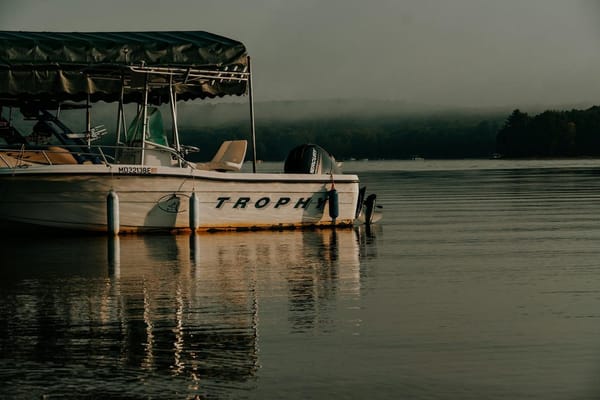 Summer Muskie: The Post-Spawn Transition Window and Why Serious Anglers Fish It Alone