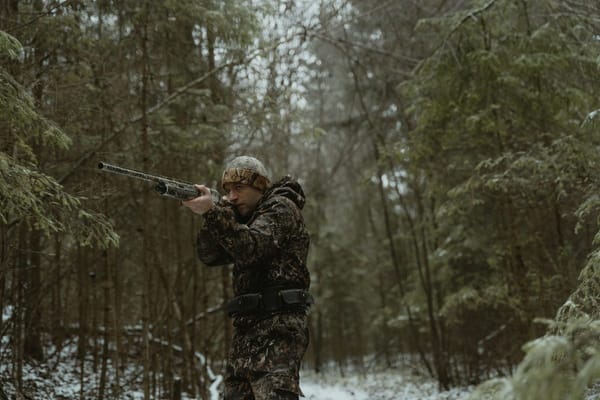 Choosing Your First Elk Rifle Without Blowing Your Budget on Gear You Don't Need