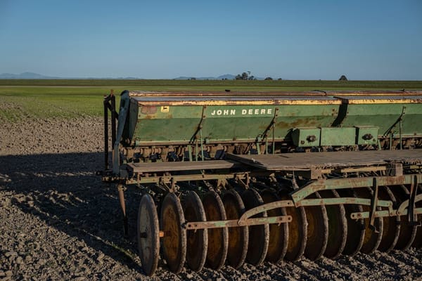 Late-Summer Food Plot Planting: Getting Seed in the Ground Before the Fall Rut